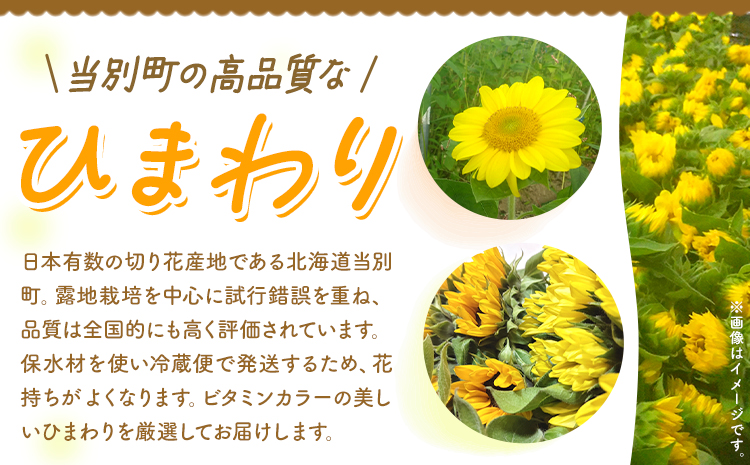 ひまわり 切花 30本 黄色 オレンジ 四季農場《6月上旬-10月中旬頃出荷》北海道 当別町 花 お花 はな ひまわり 夏 切り花 冷蔵便 北海道産 当別町産 インテリア