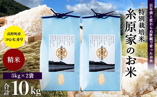 
                  特別栽培米「糸原家のお米」高野町産コシヒカリ 10キロ （5キロ×2袋） 精米 | 合計10kg (5kg×2) 白米 お米
                