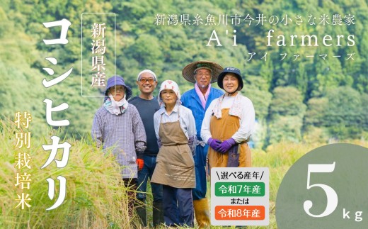 【R7年産】 選べる 米 コシヒカリ 5kg 新潟県 糸魚川市産 減農薬 減化学肥料米 BL米 安心 安全 美味しいお米 新潟米 今井産 アイファーマーズ 今摺り米 精米 白米【こしひかり おにぎり お弁当 におすすめ お米 おこめ コメ ご飯 ライス ふるさと納税米 ブランド米 5キロ】