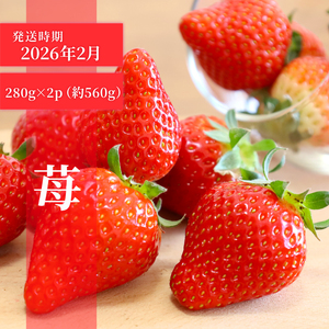 【先行予約】 フルーツ定期便 3回 ぶどう あまおう 梨  FRTT