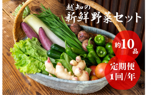 
越知産市の季節の野菜セット(年1回発送)　産地直送　旬野菜
