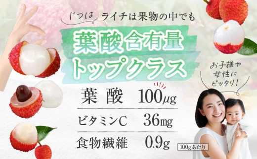 【先行予約/数量限定】希少 国産 綾生ライチ（化粧箱入り）  宮崎県 綾町産 ライチ 贈答 ギフト プレゼント 国産ライチ 果物 フルーツ 生ライチ 産地直送 期間限定 送料無料 お中元【JA綾町】_