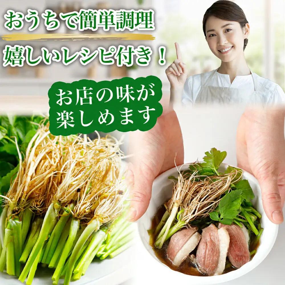 鍋【期間限定】【お届け日時指定必須（10月1日以降お届け）】 仙台せり鍋セット 野田鴨（2～3人前） 漁亭 浜や 宮城ブランド 野田鴨で食す