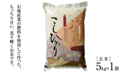 ≪ 令和7年度 新米 ≫ コシヒカリ 玄米5kg（5kg×1袋）（茨城県共通返礼品 かすみがうら市産） 新米 米 ごはん もっちり 甘い コメ お米 白米 銘柄米 [EX011sa]