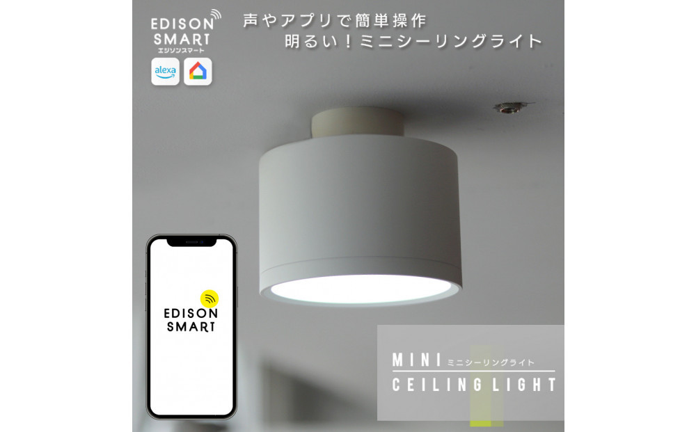 エジソンスマートミニシーリングライト 引掛けシーリング用 【ホワイト】 福岡市