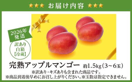 【2026年発送】＜訳あり・ご家庭用＞完熟アップルマンゴー約1.5kg（白箱）3玉～6玉