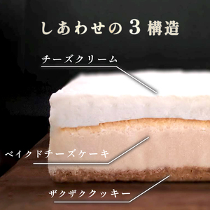 バニラ チーズケーキ 1台 約500g 4～6名 冷凍 バニラチーズケーキ チーズケーキ１台 冷凍チーズケーキ チーズケーキ500g
