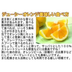 愛媛県八幡浜産・ジューシーオレンジ8kg【訳あり】【C35-25】【1492223】