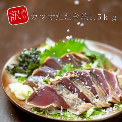 ふるさと納税 高知市 大満足!カツオたたき約1.5kg【BX026】