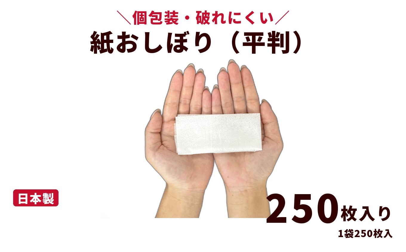 
                  紙おしぼり 平判（250枚入り）｜日用品 消耗品 業務用 使い捨て
                