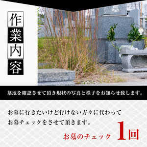 お墓のチェックサービス(1回分) ふるさと納税 境港市 特産品 代行 お墓 お盆 お彼岸【sm-CP001】【中田石材工作所】