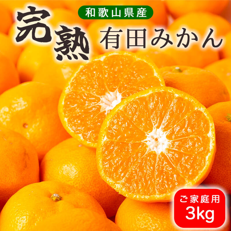 濃厚完熟！ 有田みかん 約3kg (2S～Lサイズ混合 家庭用)_BG6111n
