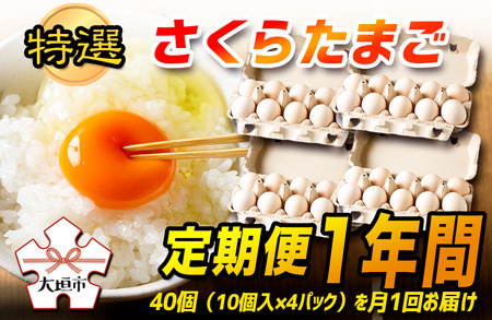 【定期便 12ヶ月】特選 さくらたまご 40個（10個入×4） 定期便 卵