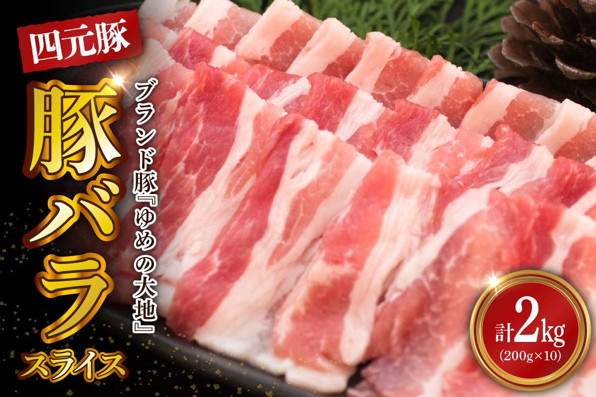 
                  【えりも町生まれ 四元豚】ゆめの大地豚バラスライス200g×10パック計2kg【er020-005】豚肉 四元豚 ゆめの大地 エスフーズ ランドレース 大ヨークシャー バークシャー デュロック 自社牧場 でんぷん質 飼料 赤身 脂 オレイン酸 小分け 冷凍 豚 お取り寄せ ギフト 家庭用
                