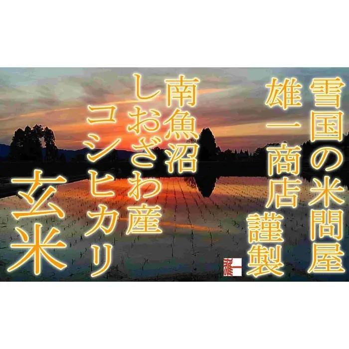【令和7年産】●玄米● 【定期便4Kg×3ヶ月】 生産者限定 南魚沼しおざわ産コシヒカリ【定期便 銘柄米 ブランド米 玄米 こしひかり コシヒカリ 魚沼産 新潟米 産地直送 お米 米 こめ コメ ご飯
