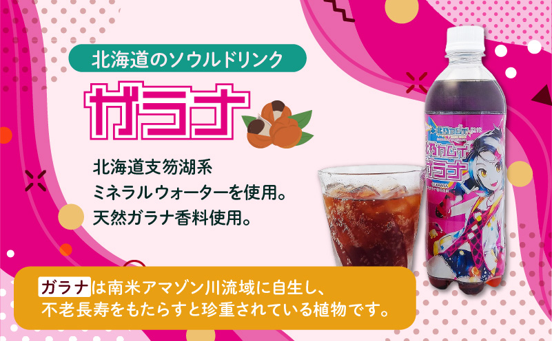 【ガラナ 500ml×24本】北乃カムイ　T057-002