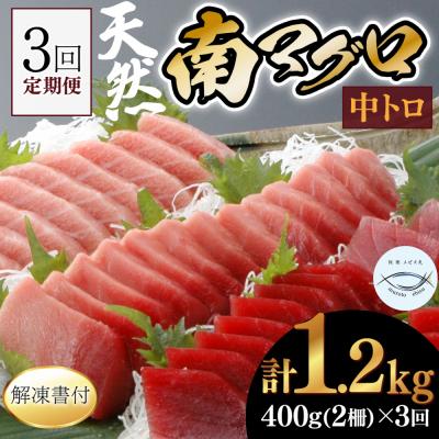 ふるさと納税 室戸市 【3回定期便】天然南マグロ　中トロ　2柵　解凍書付 海鮮 魚介 鮪 惣菜 冷凍 ミナミマグロ