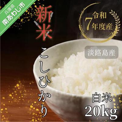 ふるさと納税 南あわじ市 令和7年産新米　淡路島産こしひかり　白米20kg