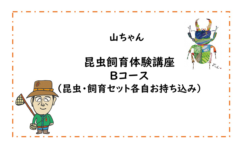 
【幼児～小学生対象】昆虫飼育体験講座Bコース（昆虫・飼育セット各自お持ち込み＜体験：9月～12月の各日曜日＞）ご利用券（1名様） [№5299-0131]
