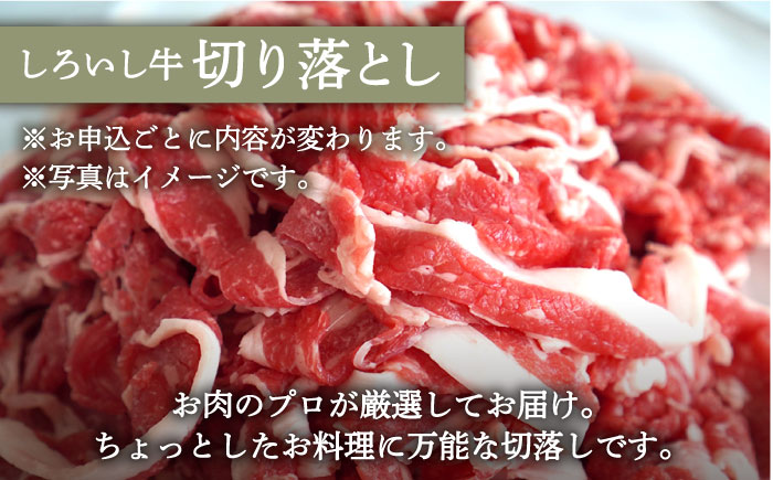 【牧場直送】人気返礼品セット！しろいし牛 手ごねハンバーグ 5個＆切り落とし 1000g 【有限会社佐賀セントラル牧場】 肉 [IAH178]
