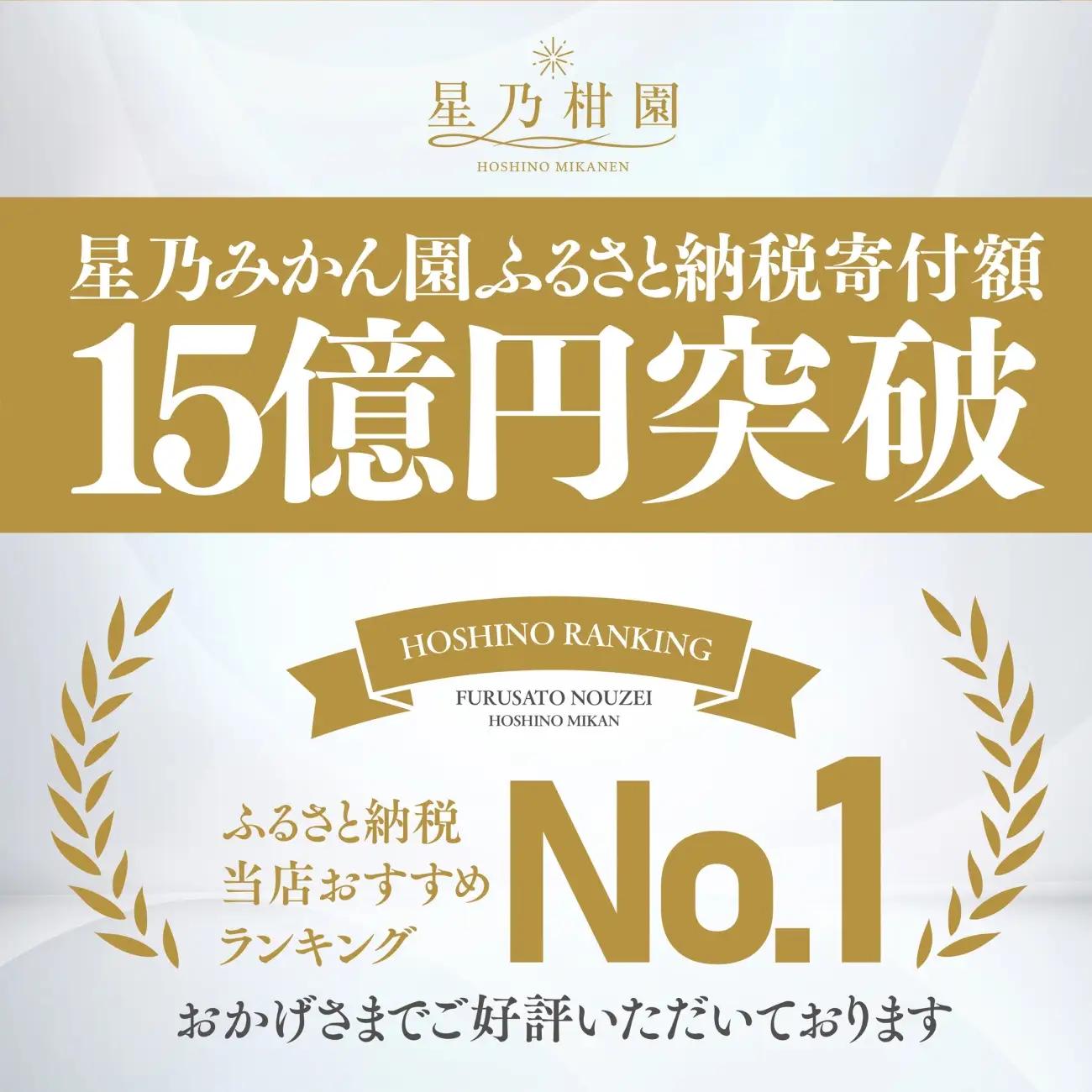 【先行受付】星乃みかん園の星乃みかん(10kg)【訳あり】【C45-64】【1339361】 YWTAZ027