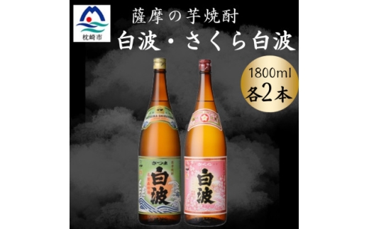 さつま白波&さくら白波1800ml　各2本セット　B8-27【1643880】