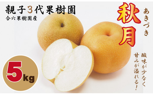 【先行予約】あきづき「秋月」 梨 （５kg）なし 梨 秋月 果物 くだもの フルーツ 冷蔵 親子三世代 農家 合六果樹園