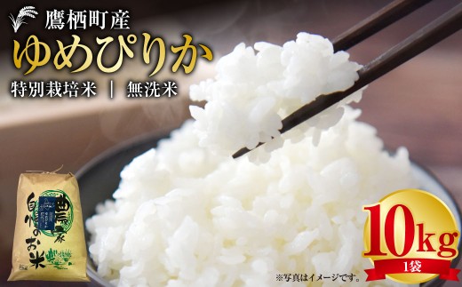 【令和7年産】 ゆめぴりか （ 無洗米 ） 10kg 北海道 鷹栖町 たかすタロファーム 米 コメ こめ ご飯 お米