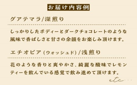 【12回定期便】コーヒー豆 産地 飲み比べ 3種セット（粉）【GOOD DAYS COFFEE】カフェ ドリップ 珈琲  [TCG008]