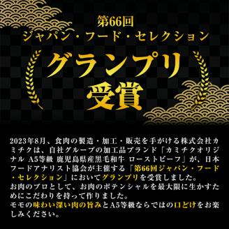 A0-08 ＜5等級＞鹿児島県産黒毛和牛ローストビーフ(250g・専用ソース付き) 【986919】