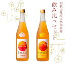 【ふるさと納税】 紀州完熟南高梅酒 飲み比べセット（うめのわ 完熟梅酒・蜂蜜梅酒 720ml 各1本）