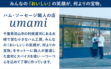 ハム ソーセージ おうちのみセット 容量 7点程 豚肉 ハム ソーセージ ウィンナー 加工品 燻製 福袋 Umami お中元 おつまみ