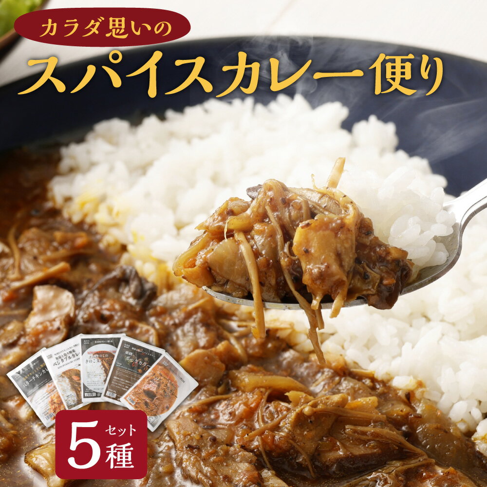 【ふるさと納税】カラダ思いのスパイスカレー便り 5種セット 手作りカレー レトルトカレー スパイスカレー カレー スパイス コク 冷蔵 北海道 愛別町 送料無料