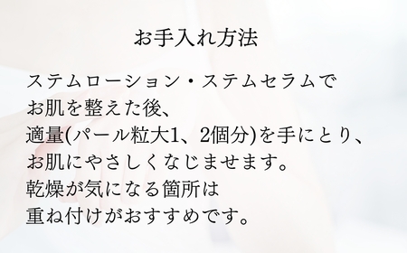 美容 クリーム SBC MEDISPA ステムクリーム 30g 