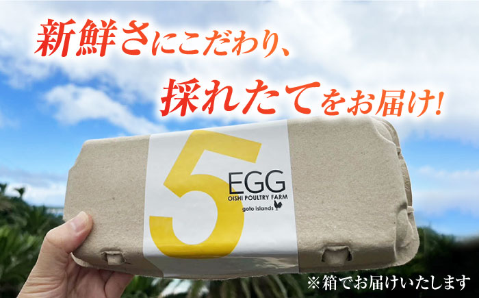 【お得な箱入り】平飼たまご ファイブエッグ M〜Lサイズ 150個?/ 5EGG 卵 赤玉子五島市 / 五島列島大石養鶏場 [PFQ010]