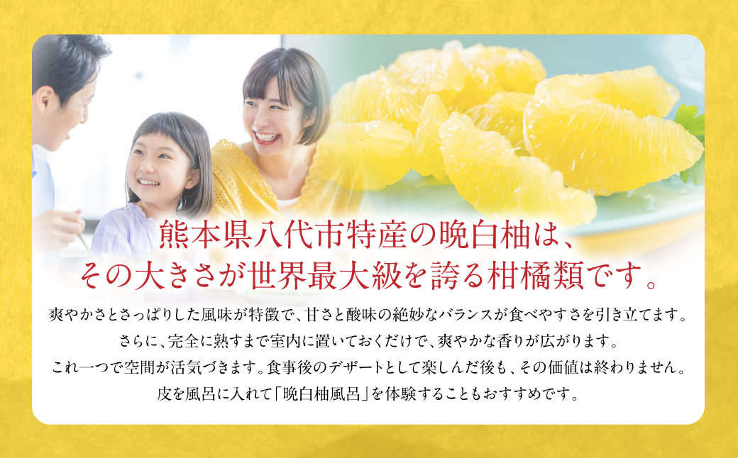 【先行予約】 熊本県八代市産 晩白柚 3Lサイズ 2玉入り 約5kg 果物 くだもの フルーツ 柑橘類 青果物 特産品 お取り寄せ 【2025年12月中旬より順次発送】