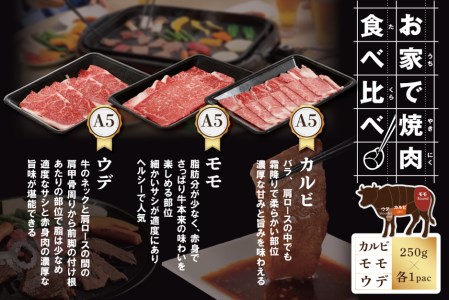 焼肉！黒毛和牛 750g 焼肉用（カルビ・ウデ・モモセット 250g×各1P）【be066-0646】牛肉 国産 和牛 焼き肉（ 牛肉 焼肉 牛肉グルメ 牛肉セット 北海道産牛肉 道産牛肉 黒毛和牛 