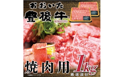 おおいた豊後牛焼肉用 1kg (500g×2p) | 和牛 豊後牛 国産牛 焼肉 大分県産 九州産 津久見市 国産