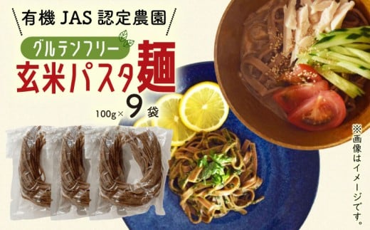 有機グアバ農園のグルテンフリー玄米パスタ麺 100g×9袋セット | グルテン フリー グルテンフリー 食品 麺 めん パスタ 人気 おすすめ 高知県 南国市