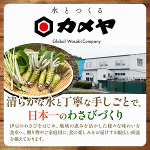 カメヤドレッシングセット 計3本 にんじん わさび ごまだれ ドレッシング 