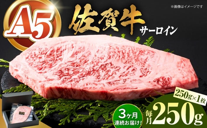 
            【全国有数のブランド牛】＜全3回定期便＞佐賀牛サーロインステーキ 250ｇ【がばいフーズ】A5ランク 佐賀牛 牛肉 サーロイン ステーキ A5 佐賀牛 a5 1枚 和牛 黒毛和牛 小分け 冷凍 定期 3回 3ヶ月 [HCS053]
          