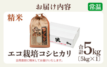 【先行予約】【令和8年産 新米】エコ栽培コシヒカリ　白米5kg ／ 鮮度抜群 福井県産 こしひかり ご飯 新鮮 白米 ※2026年10月上旬以降順次発送 [aw063-a014]