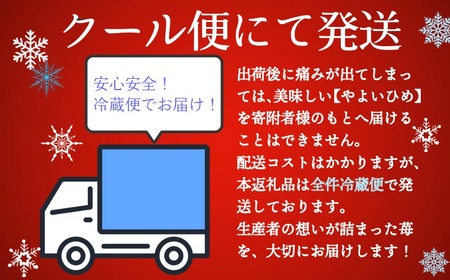 いちご やよいひめ 約300g×2パック 計600g 先行予約【1月下旬～4月下旬に順次出荷予定】 