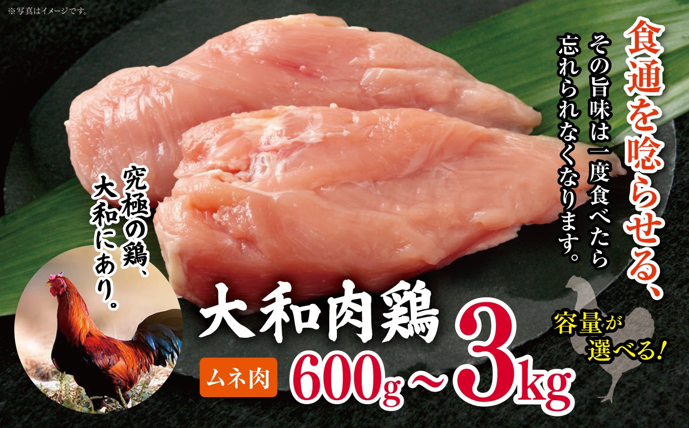 
                  【選べる内容量】大和肉鶏 ムネ肉 600g / 1.2kg / 1.8kg / 2.4kg / 3.0kg |  肉 鶏 ムネ 大和 鶏肉 かしわ うまみ 料理 和食 洋食 食卓 新鮮 食 フード 高品質 コク おすすめ だし 一貫生産 国産 通販 ギフト 奈良県 五條市
                