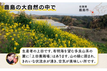 たまご 鶏卵 佐賀県鹿島産 平飼い卵「うみとやまとこっこ」上田養鶏場 たまご40個 卵 タマゴ 生卵 玉子焼き 卵焼き 玉子焼き 佐賀産 国産 たまご 美味しい卵 B-390