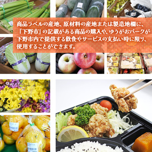 【ふるさと納税】ゆうがおパーク商品券 5,000円分 | 栃木県 下野市