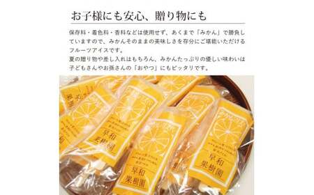 【早和果樹園】みかんアイスバー15本入（B177-1）