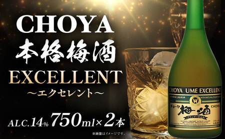 CHOYA 本格梅酒 EXCELLENT 750ml×2本 羽曳野商工振興株式会社《30日以内に出荷予定(土日祝除く)》｜梅酒チョーヤ梅酒チョーヤ梅酒チョーヤ梅酒チョーヤ梅酒チョーヤ梅酒チョーヤ梅酒チョーヤ梅酒チョーヤ梅酒チョーヤ梅酒チョーヤ梅酒チョーヤ梅酒チョーヤ梅酒チョーヤ梅酒チョーヤ梅酒チョーヤ梅酒チョーヤ梅酒チョーヤ梅酒チョーヤ梅酒チョーヤ梅酒チョーヤ梅酒チョーヤ梅酒チョーヤ梅酒チョーヤ梅酒チョーヤ梅酒チョーヤ梅酒チョーヤ梅酒チョーヤ梅酒チョーヤ梅酒チョーヤ梅酒チョーヤ梅酒チョーヤ梅酒チョーヤ梅酒チ