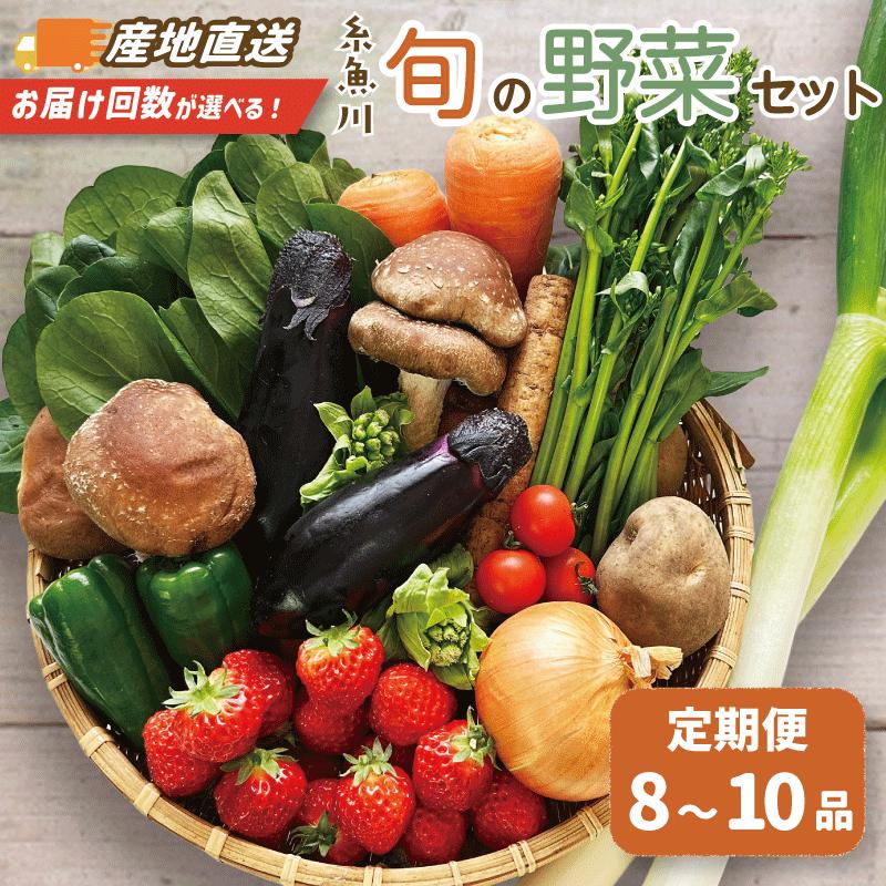 【ふるさと納税】【選べるお届け回数】旬の野菜セットを直売所からお届け ! (8～10品詰め合わせ) 大根・白菜・春菊・アスパラ菜・しいたけ・ほうれん草・ふきのとう・タラの芽・山菜・にんじん・イチゴ・トマト・きゅうり・ピーマン・ジャガイモ・玉ねぎ・長ネギ・里芋 JA