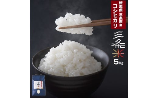 新潟県三条市産 コシヒカリ 三条米 5kg 令和7年産 一人暮らし 【010S393】